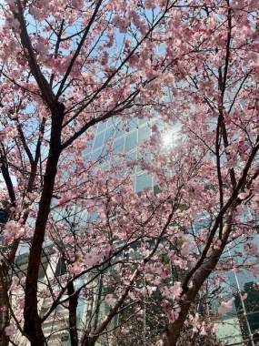 4月12日（土）から出勤します＊友菜