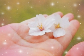 皆様ごきげんよう！